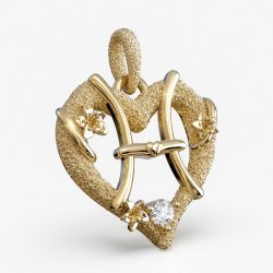 Fisken stjernetegns vedhng