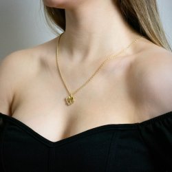 Fisken stjernetegns vedhng